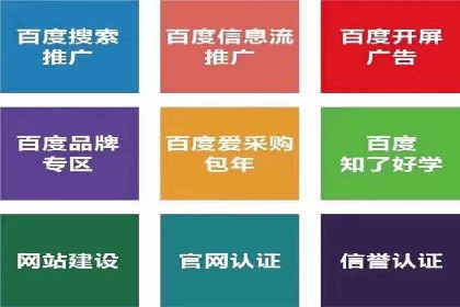 SEM服务案例：打造行业领先品牌